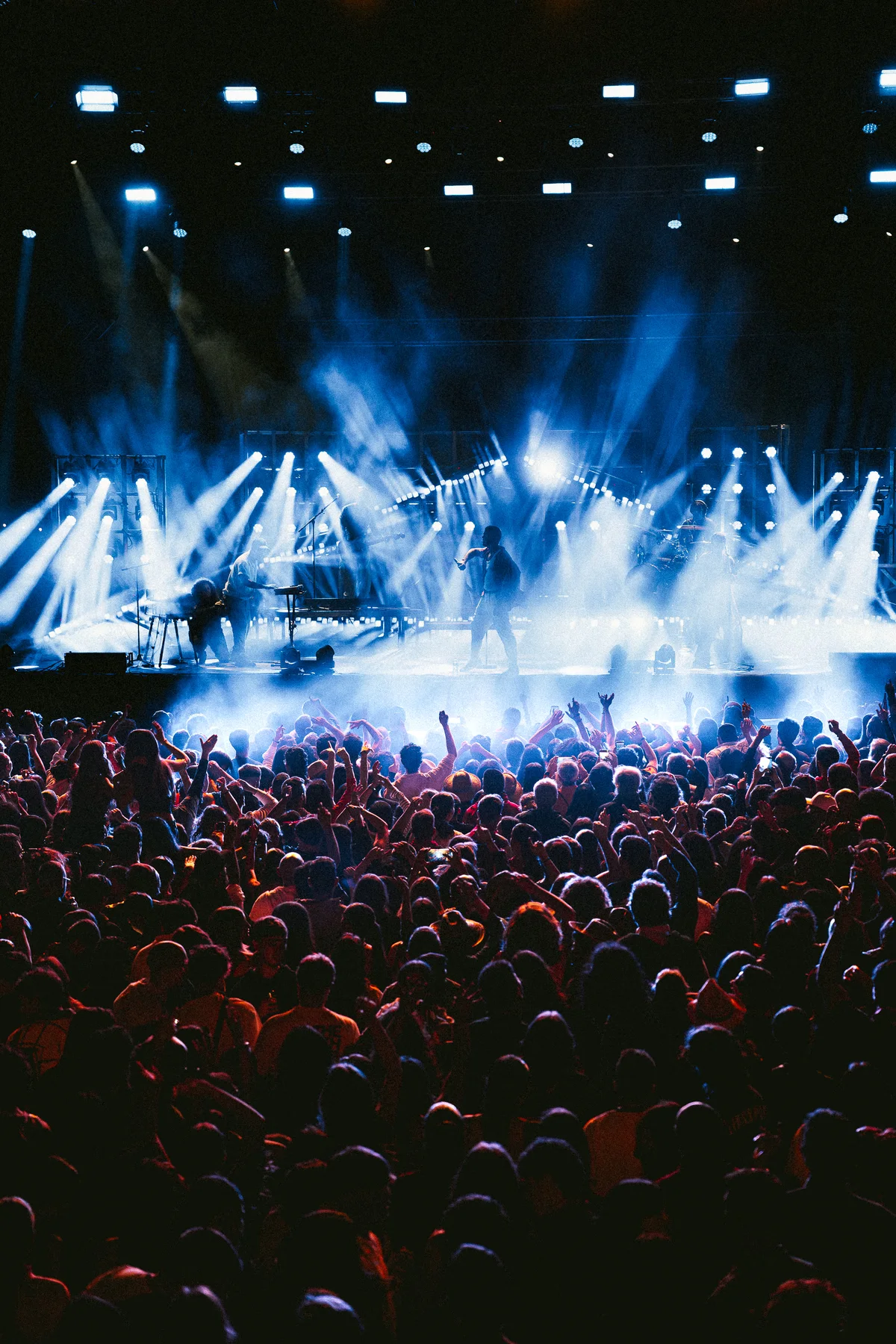 ELS CATARRES — Live shows